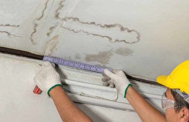 Reliable Water Damage Repair contractor in Wendell, NC by Hirex Water Damage